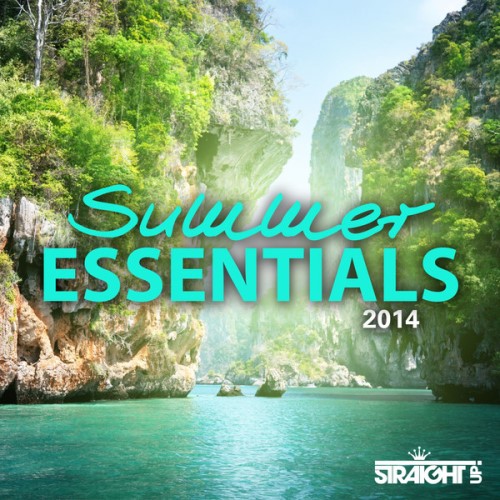 VA - Summer Essentials 2014 (2014)