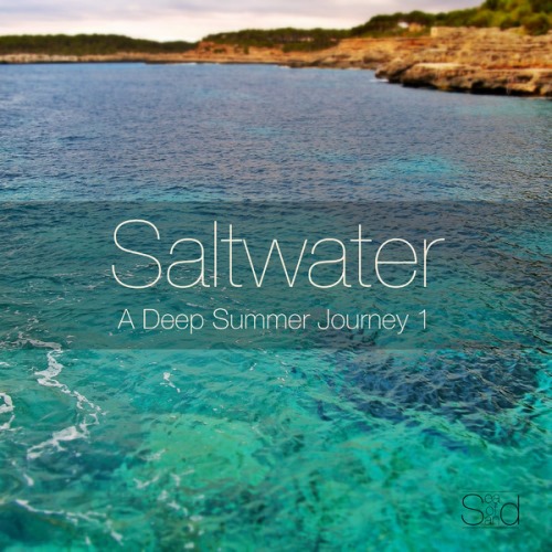 VA - Saltwater: A Deep Summer Journey 1 (2014)