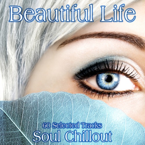 VA - Beautiful Life: 60 Selecter Tracks Soul Chillout (2014)