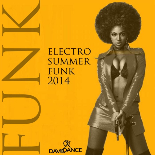 VA - Electro Summer Funk 2014 (2014)