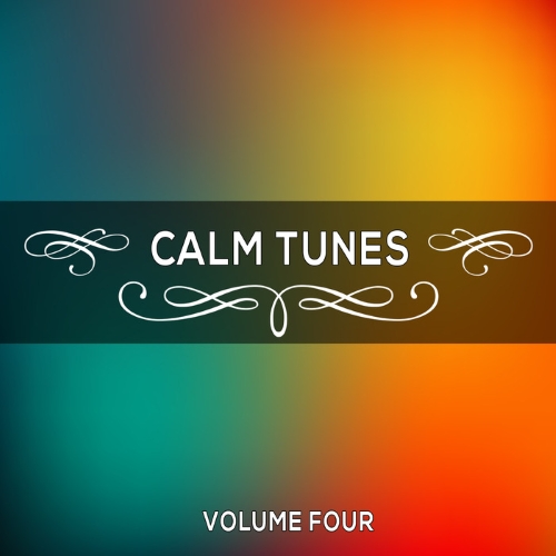 VA - Calm Tunes, Vol. 04 (2014)