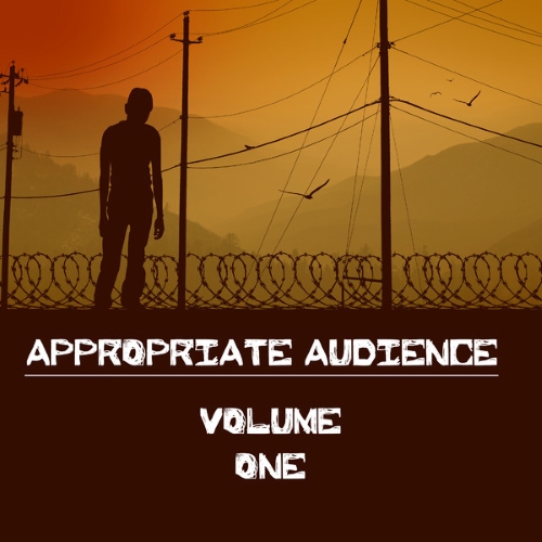 VA - Appropriate Audience Vol 1 (2014)