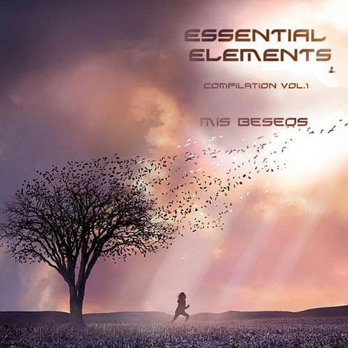 Mis Beseos - Essential Elements: Compilation Vol.1 (2014)