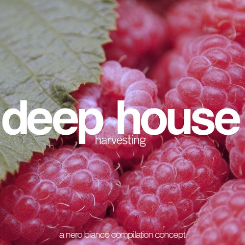 Deep House Harvesting (2014)