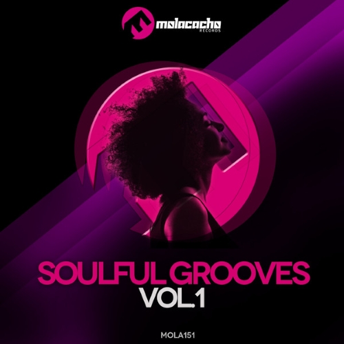 VA - Soulful Grooves, Vol. 1 (2014)