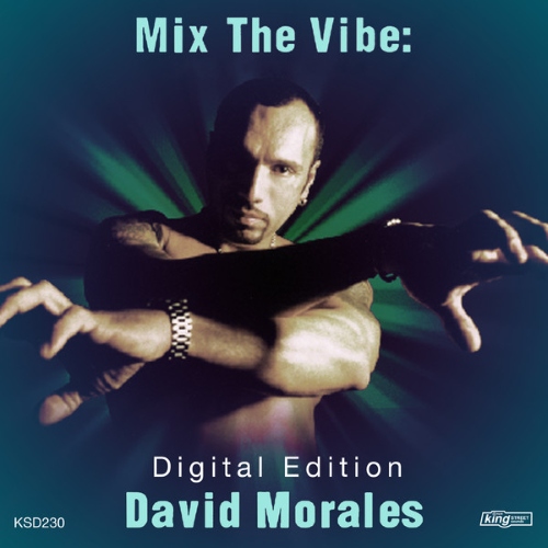 VA - Mix The Vibe: David Morales (2013)