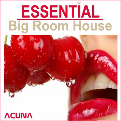 Essential Big Room (2014)