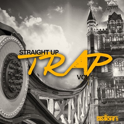 Straight Up Trap! Vol.5 (2014)