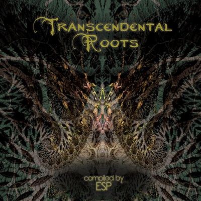 Transcendental Roots (2015)