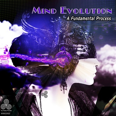 Mind Evolution - A Fundamental Process (2016)