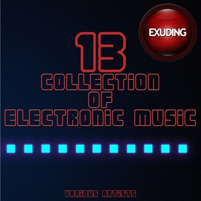 Collection Of Electronic Music Vol.13 (2016)