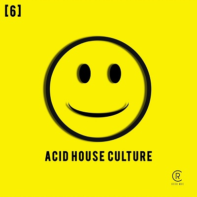 Acid House Culture Vol.6 (2016)