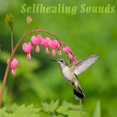 Selfhealing Sounds (2017)