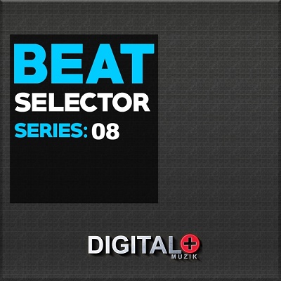 Beat Selector Series 08 (2017)