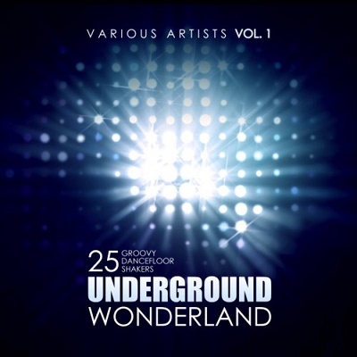 Underground Wonderland (25 Groovy Dancefloor Shakers) Vol.1 (2017)