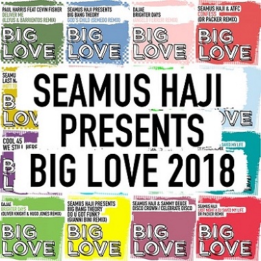 Seamus Haji Presents: Big Love 2018